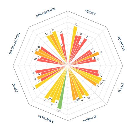 Meta Team profiler example Nasdaq Case Study